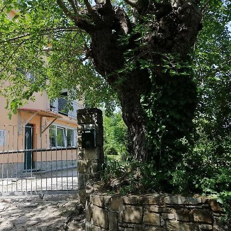 Murva Koper Extérieur photo