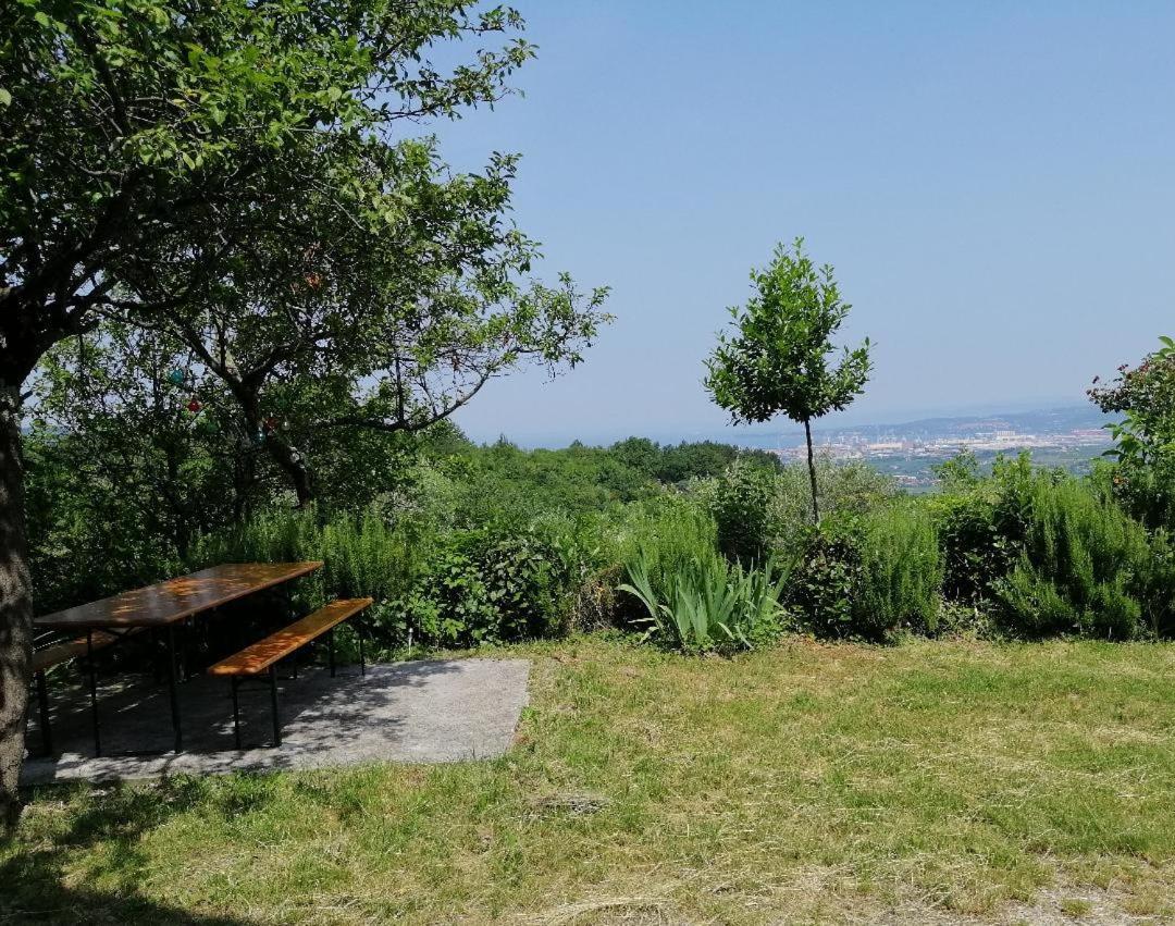 Murva Koper Extérieur photo